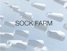 017 Sock Farm